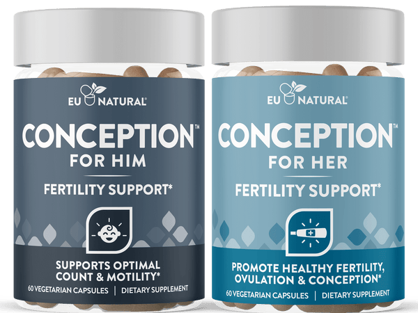 Best Fertility Supplements for Conception: Coordinated Support for Conception (2026)