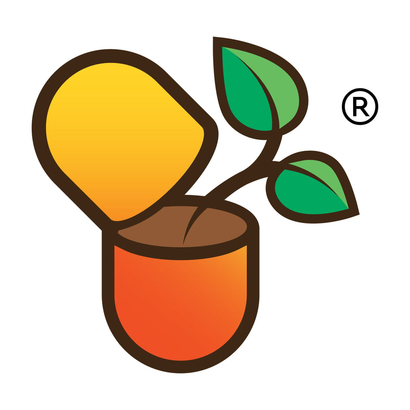 Best Vitamin Brands Consumer Report Based on Third-Party Testing & Independent Lab Results (2026)