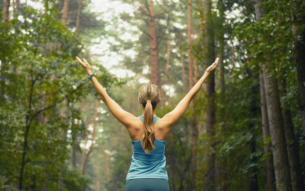 The Best Clean Supplement Brands for Purity and Transparency in 2026