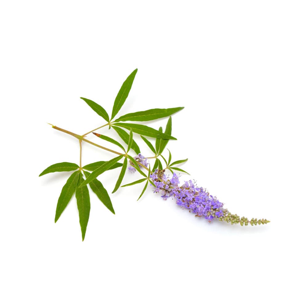 STAYING COOL Total Hot Flash & Menopause Relief Eu Natural