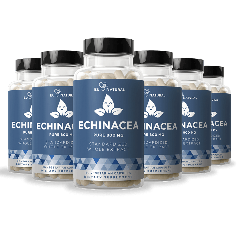 Eu Natural ARMOR 1 ECHINACEA PURE 800 MG Immunity (6 Pack)