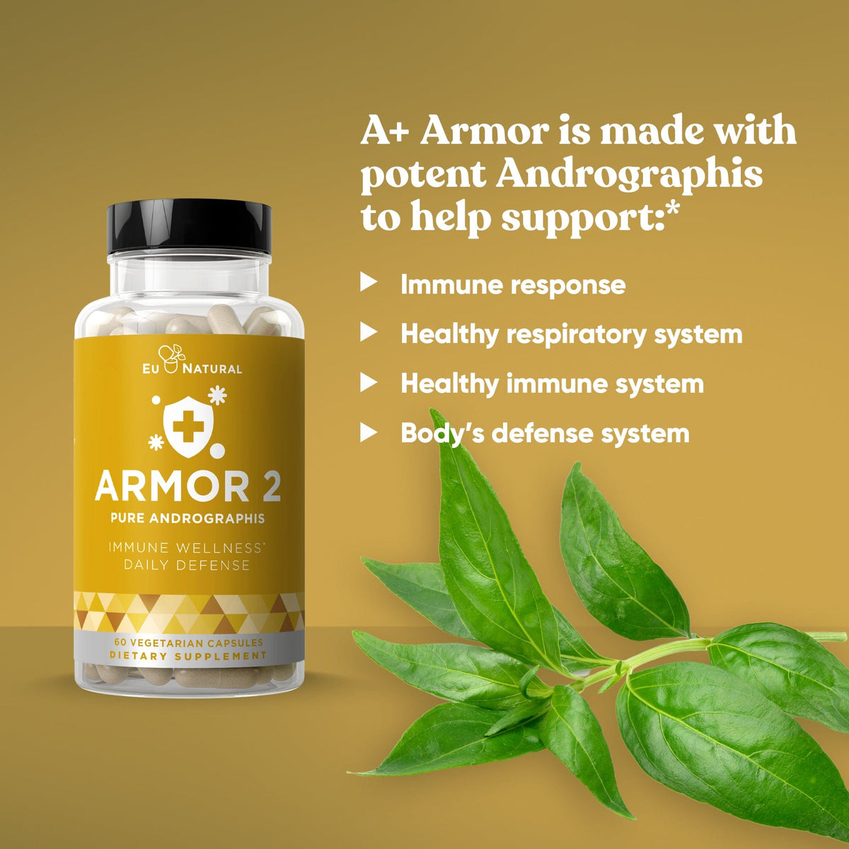 Eu Natural ARMOR 2 ANDROGRAPHIS PURE 800 MG Immunity (6 pack)